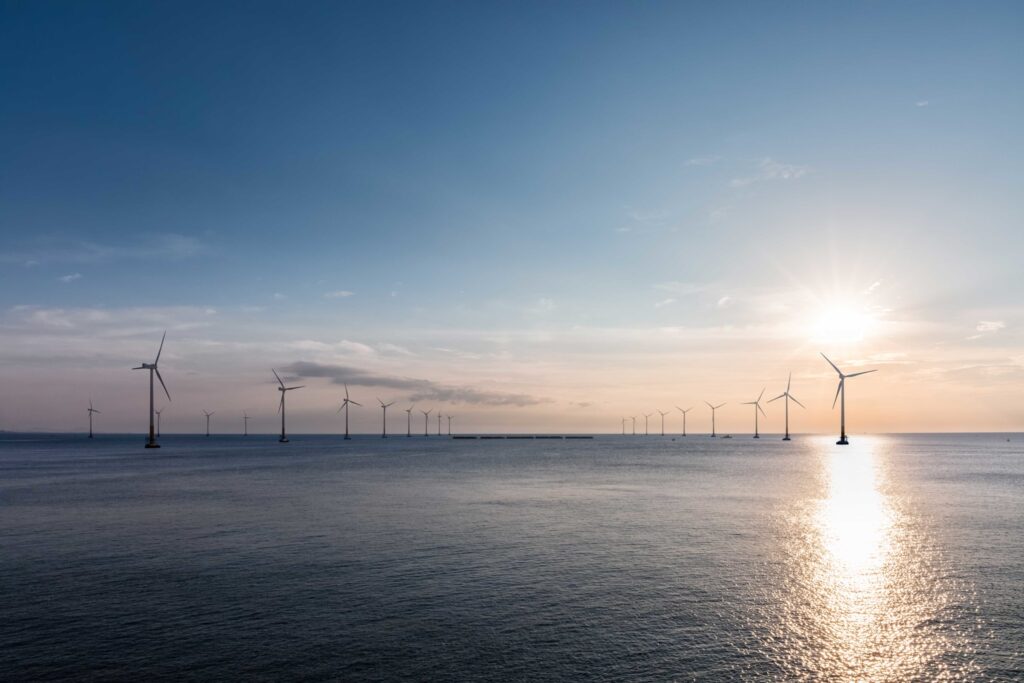 SeaRenergy appoints Product Leads to serve ambitious targets for global Offshore Wind 3 Offshore Windparc